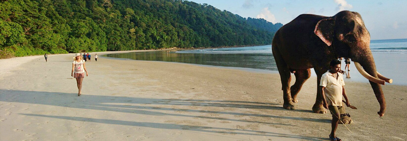 https://www.tourism-of-india.com/pictures/besttimetovisit/best-time-to-visit-andaman-slider-14